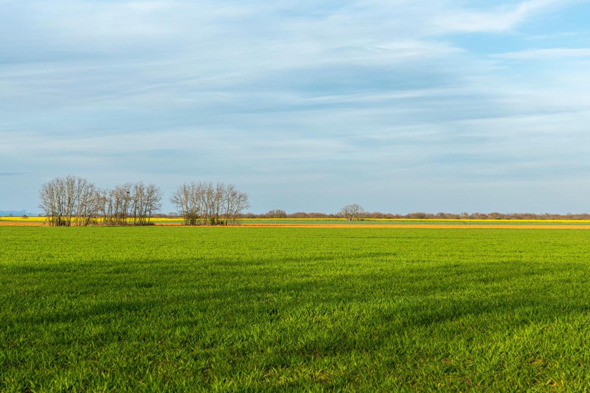 Descubre La Cepedana: Casa Rural Con Encanto En Cogorderos, A Solo 10 Km De Astorga Exteriör bild